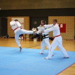 taekwondo graduering april 2015 058