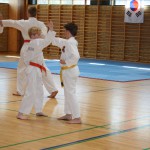 taekwondo graduering april 2015 090